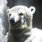 Cie Louis Brouillard-Joël Pommerat, accueillie en 2018